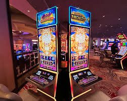 casibom VIP Bonus Cashback ဆုလဒ်များ ရရှိနေသည့် ကစားသမား
